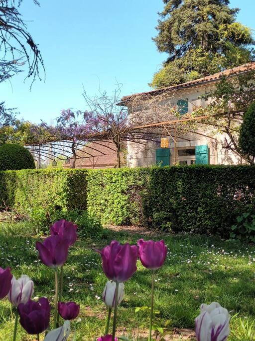 Апартаменти Charmant Studio Avec Jardin A La Campagne Sur Le Chemin De Saint Jacques De Compostelle Лозерт Екстер'єр фото
